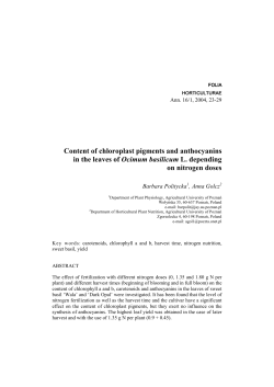 Content of chloroplast pigments and anthocyanins in the leaves of