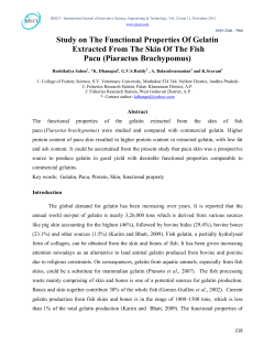 Study on The Functional Properties Of Gelatin Extracted From The