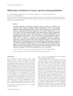 Molecular variation in Leymus species and populations