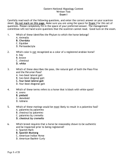 Previous National Hippology Exams