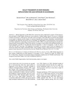 bullet fragments in deer remains: implications for lead exposure in