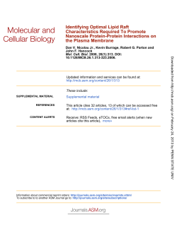 the Plasma Membrane Nanoscale Protein