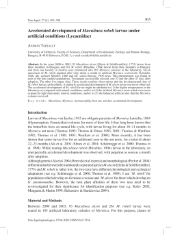 Accelerated development of Maculinea rebeli larvae under artificial