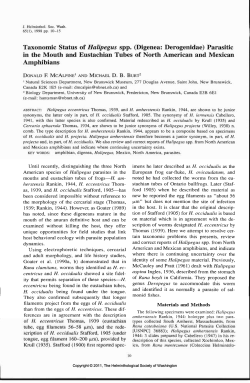 Taxonomic Status of Halipegus spp.