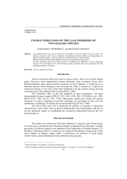 characterization of the leaf epidermis of two sesleria species