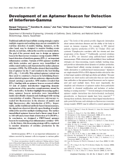 Development of an Aptamer Beacon for Detection of Interferon