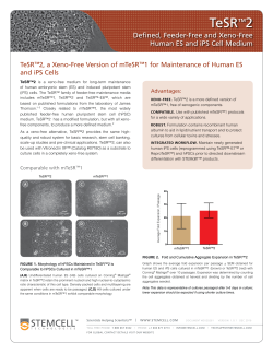 TeSR™2 Defined Feeder-Free and Xeno