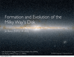 Formation and Evolution of the Milky Way`s Disk