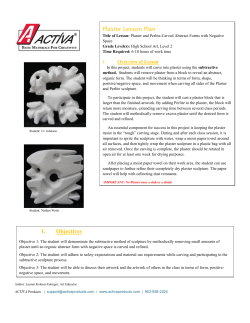 Plaster Lesson Plan I. Objectives