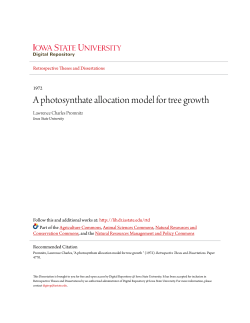 A photosynthate allocation model for tree growth