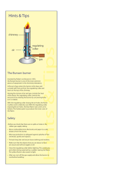 Bunsen burner
