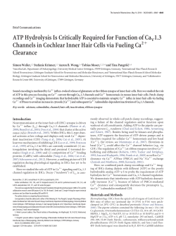 ATP Hydrolysis Is Critically Required for Function of CaV 1.3