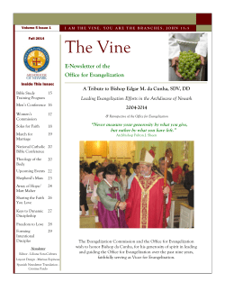 The Vine - Archdiocese of Newark