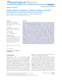 Cholecystokinin receptors in Atlantic salmon