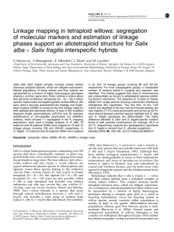 Linkage mapping in tetraploid willows: segregation of molecular