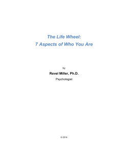 The Life Wheel - Revel Miller, Ph.D.
