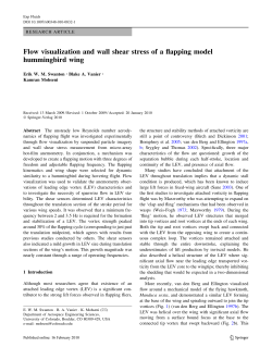 Flow visualization and wall shear stress of a flapping model
