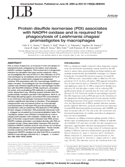 (PDI) associates with NADPH oxidase and is required for
