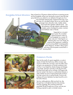 Prehistoric Florida Everglades Airboat Adventure