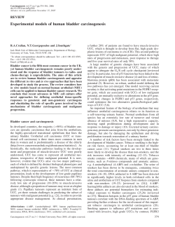 Experimental models of human bladder