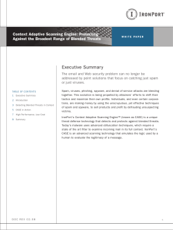 executive summary - IronPortStore.com
