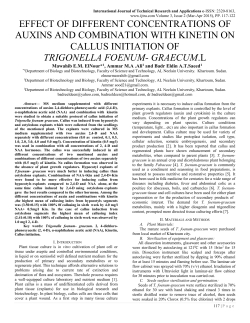 effect of different concentrations of auxins and
