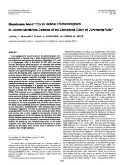 Membrane Assembly in Retinal Photoreceptors