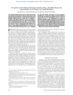 ( E Chain) Domains