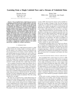 Learning from a Single Labeled Face and a Stream of Unlabeled Data