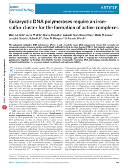 Eukaryotic DNA polymerases require an iron