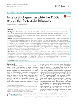 Initiator tRNA genes template the 3&prime; CCA end at