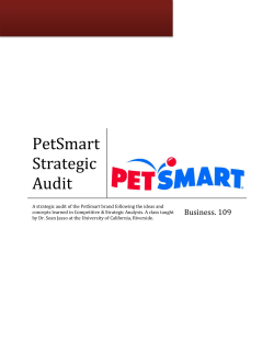 PetSmart Strategic Audit