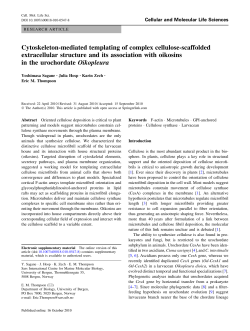 Cytoskeleton-mediated templating of complex cellulose