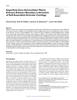 Superficial Zone Extracellular Matrix Extracts Enhance Boundary