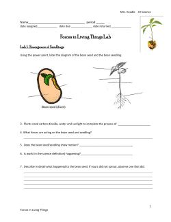 Forces in Living Things Lab