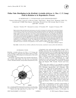 Pollen Tube Distribution in the Kiwifruit (Actinidia deliciosa A. Chev