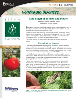 Late Blight of Tomato and Potato