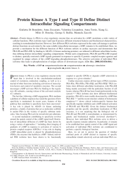 Protein Kinase A Type I and Type II Define Distinct Intracellular