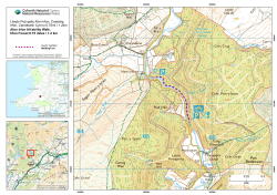 Afon Irfon All-ability Walk, Irfon Forest 0.75 miles / 1.2 km Llwybr Pob