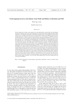 Fossil angiosperm leaves and climate: from Wolfe and Dilcher to