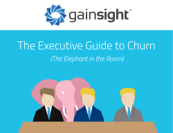 The Executive Guide to Churn