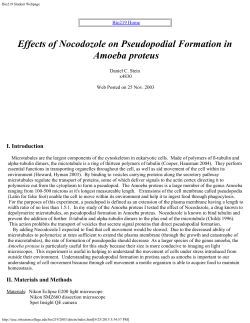 Independent Research Project Report