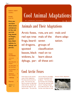 Cool Animal Adaptations