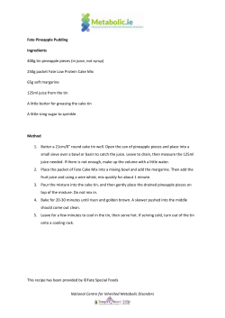 Fate Pineapple Pudding