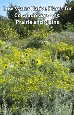 Prairie and Plains - Colorado Native Plant Society