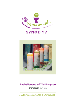 Synod Booklet Introduction - Archdiocese of Wellington
