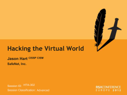 Hacking the Virtual World