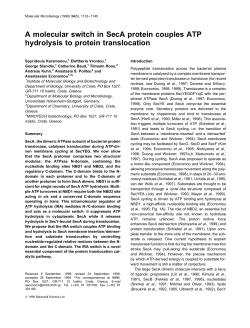 A molecular switch in SecA protein couples ATP hydrolysis to