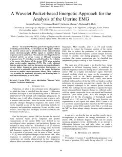 A Wavelet Packet-based Energetic Approach for the Analysis