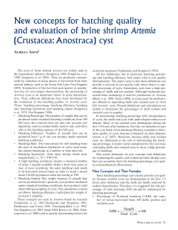 New concepts for hatching quality and evaluation of brine shrimp